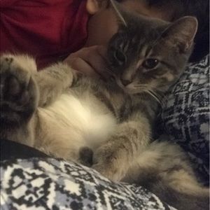 Meet your Posher, Seemab